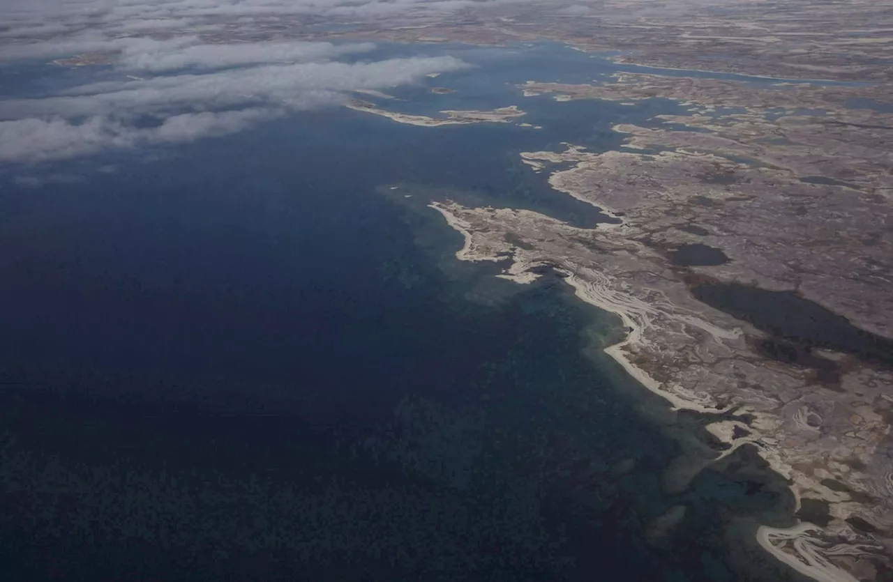 Scientists use DNA to identify bones and find descendants of Franklin expedition sailor