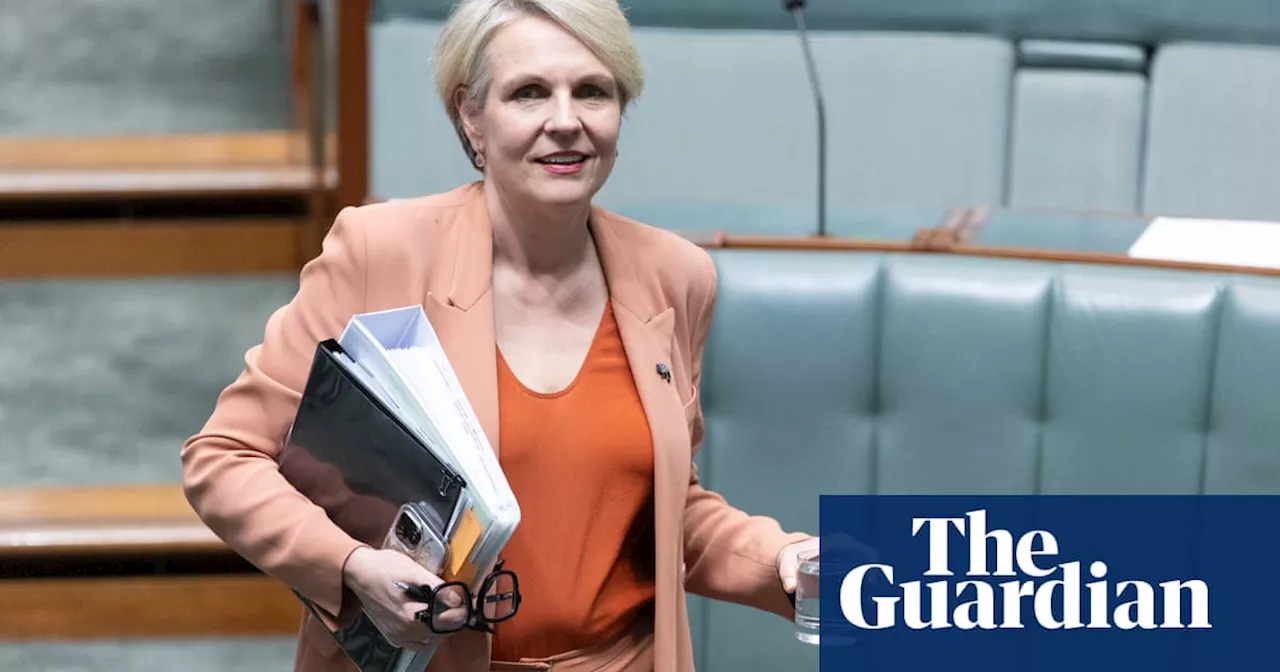 Tanya Plibersek approves three coalmine expansions in move criticised as ‘the opposite of climate action’