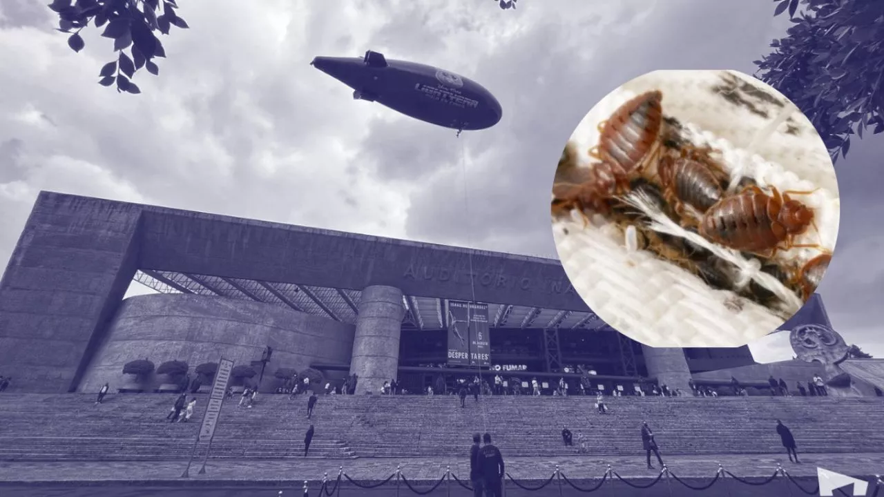 VIDEO: captan chinches en el Auditorio Nacional y las imágenes causan terror en redes