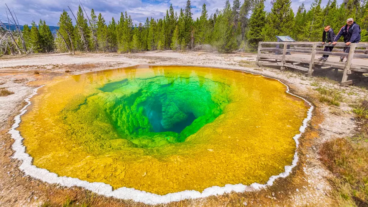 Yellowstone-Nationalpark - Geysir war blau – dann warfen Touristen Münzen hinein