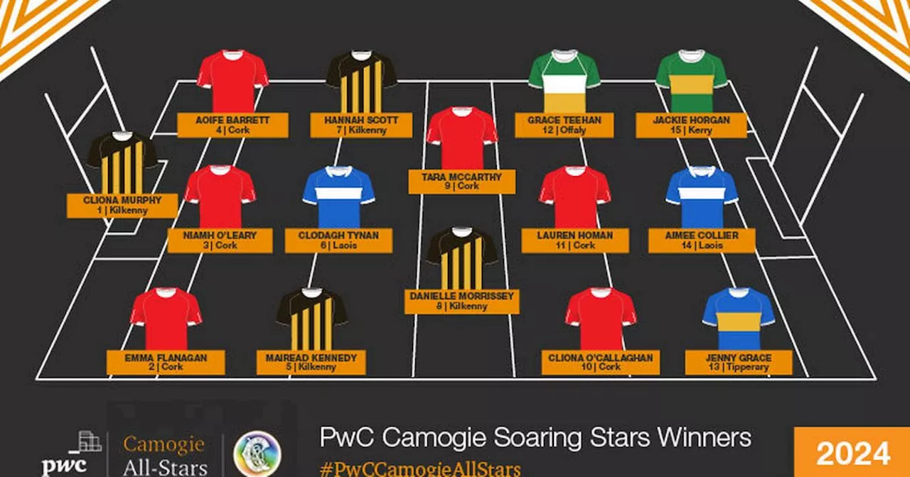 Ger Manley Named Glen PwC Camogie Manager Of The Year