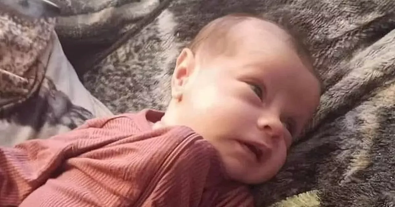 Seven-month-old baby boy found dead stuffed in toolbox and dumped in lake