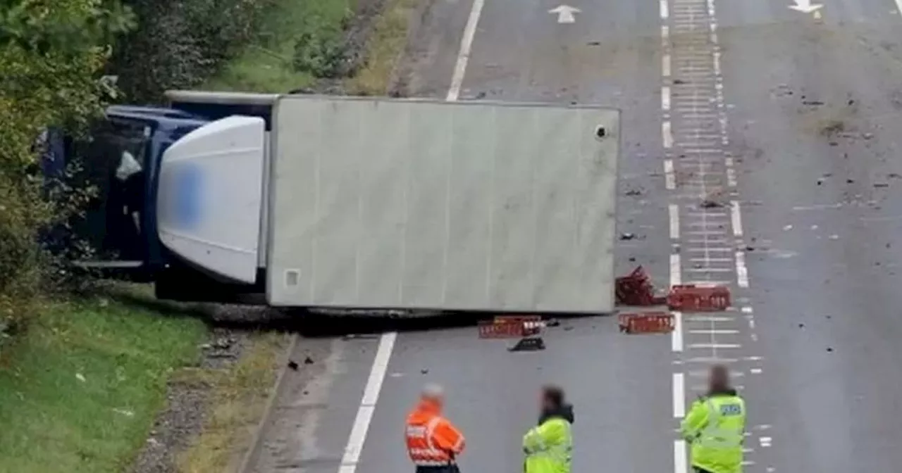 Woman and four horses die after horror crash between Mercedes and van