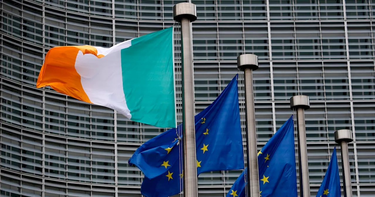 EU institutions have a ‘big, big shortage’ of Irish-language interpreters, graduates told