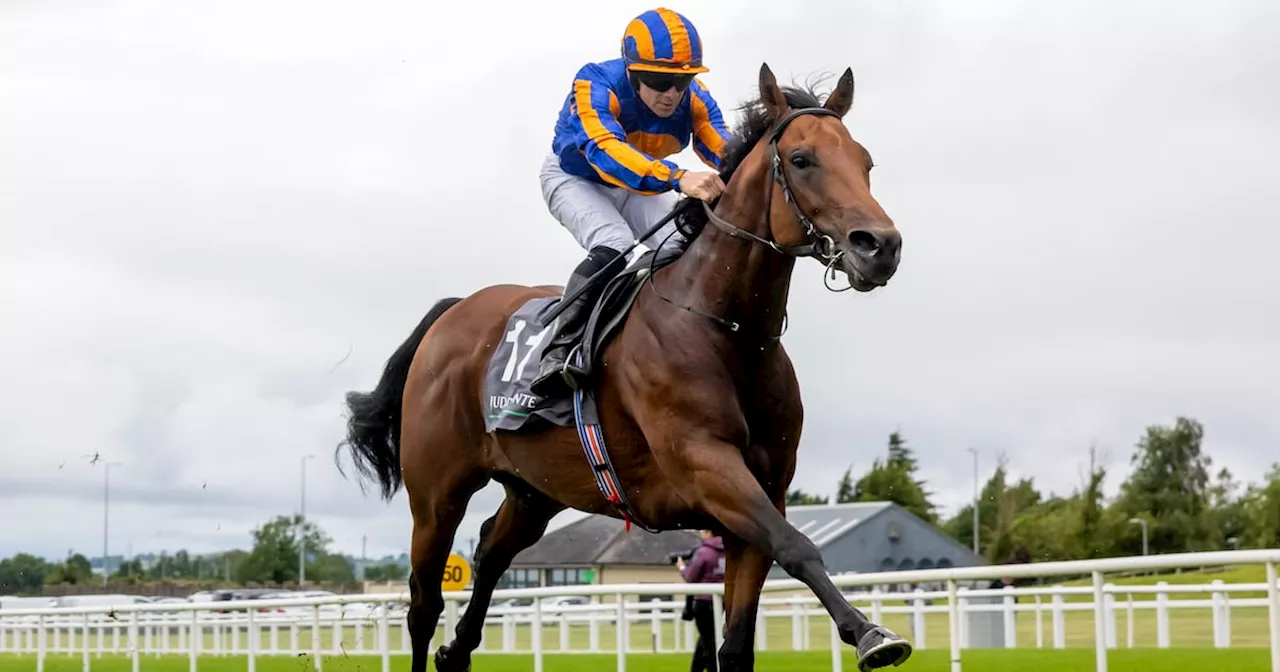 Irish Cesarewitch sponsorship review to take place following Sunday’s renewal of €600k feature