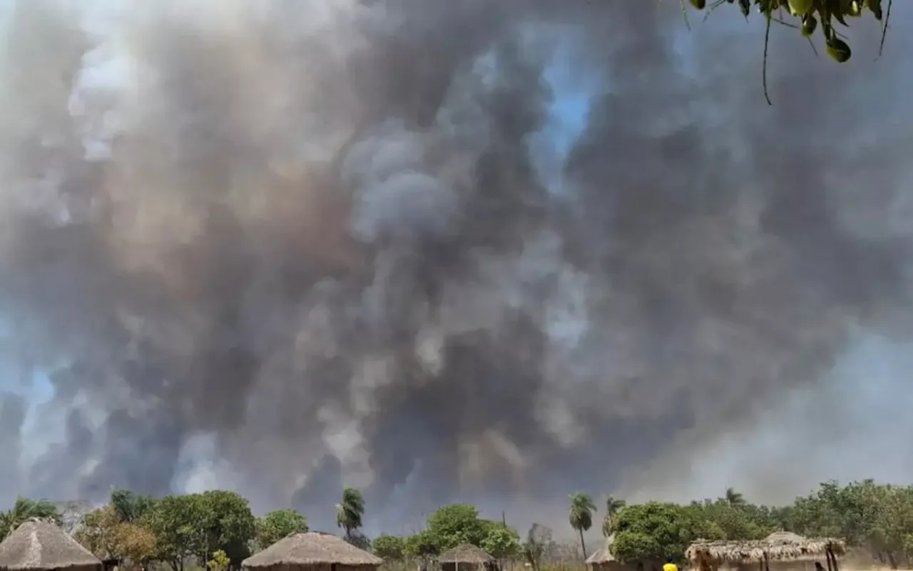 Em Mato Grosso, Corpo de Bombeiros está combatendo 50 incêndios florestais