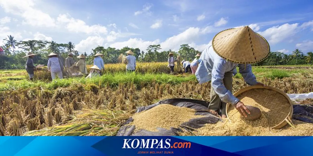 Sejarah Hari Tani Nasional yang Diperingati Setiap 24 September