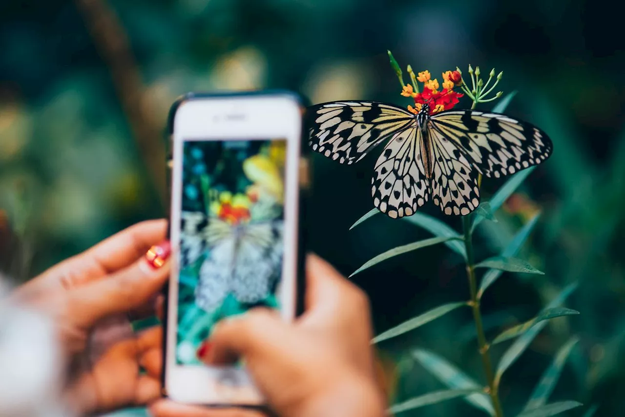 Notre smartphone, un allié inattendu pour se rapprocher de la nature