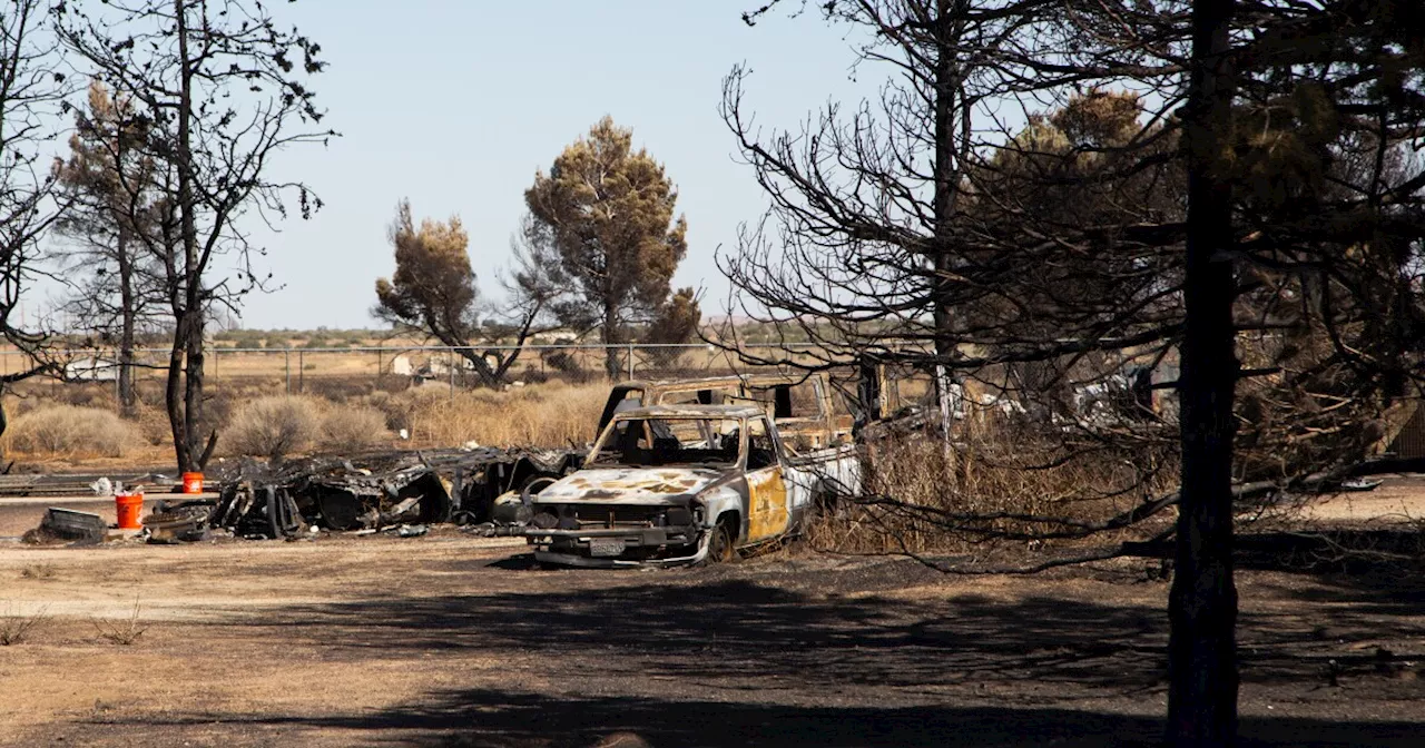 LA County fire official says Apollo Fire erupted after mulch spontaneously combusted