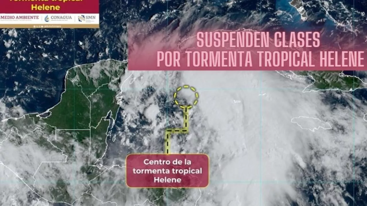 Quintana Roo: Cierran escuelas y habilitan refugios para animales ante la tormenta tropical Helene