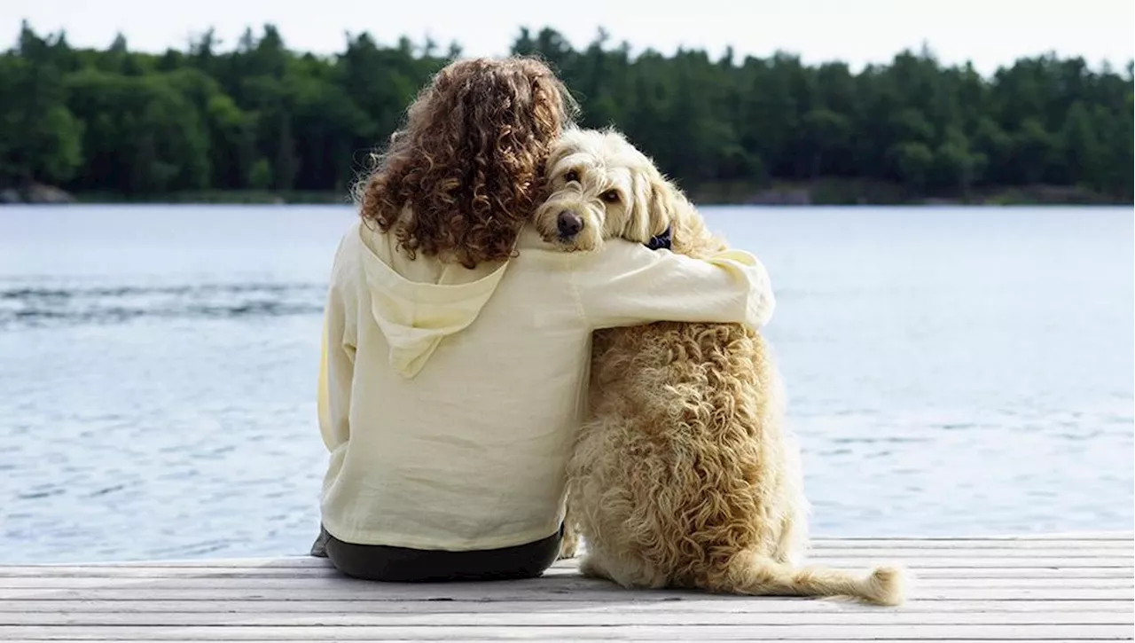 Il mare e gli abbracci del cane Bella, il miglior rimedio per guarire Carolina dalla depressione e dal cuore …