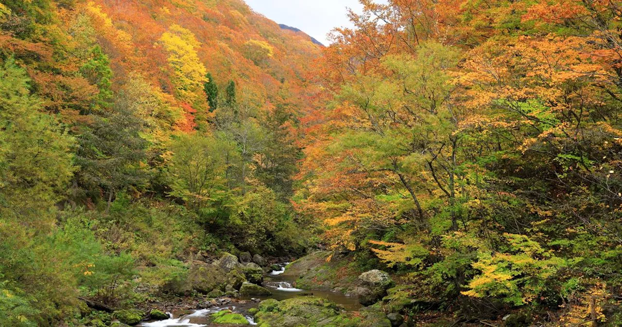 Météo du mercredi 25 septembre : l’automne se fait déjà ressentir