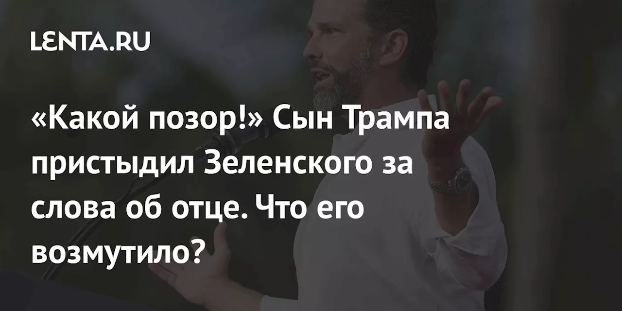 «Какой позор!» Сын Трампа пристыдил Зеленского за слова об отце. Что его возмутило?