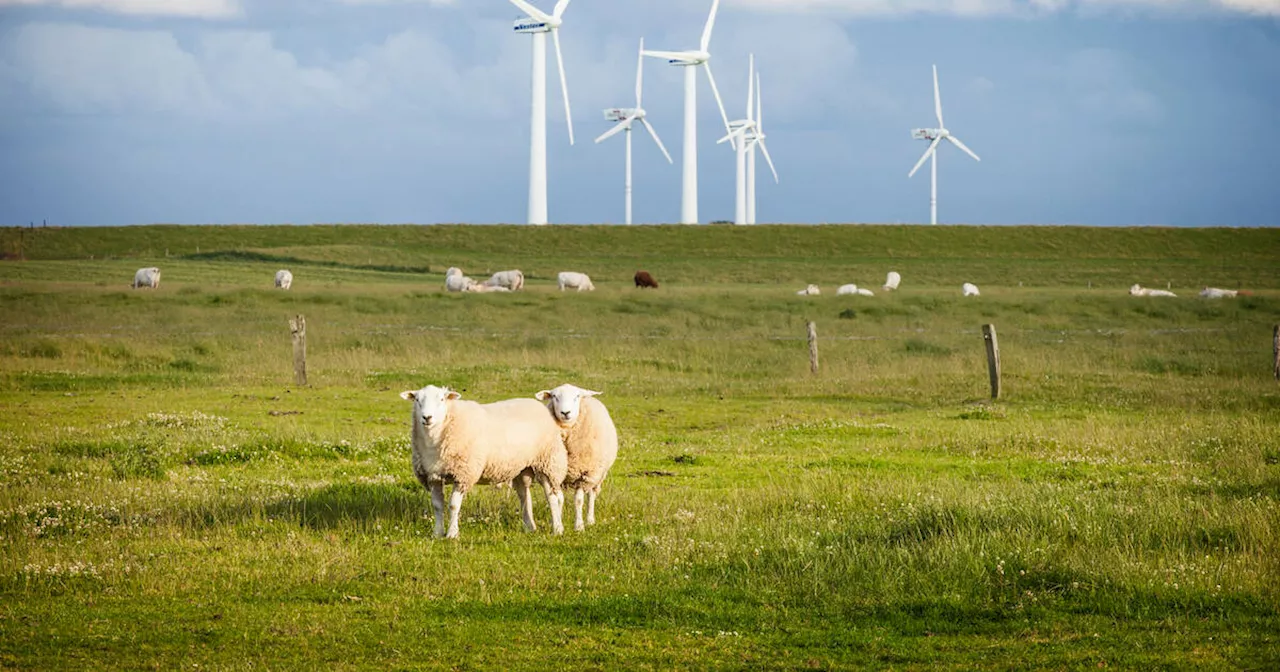 Innovation pour le climat : l’audace de l’action immédiate