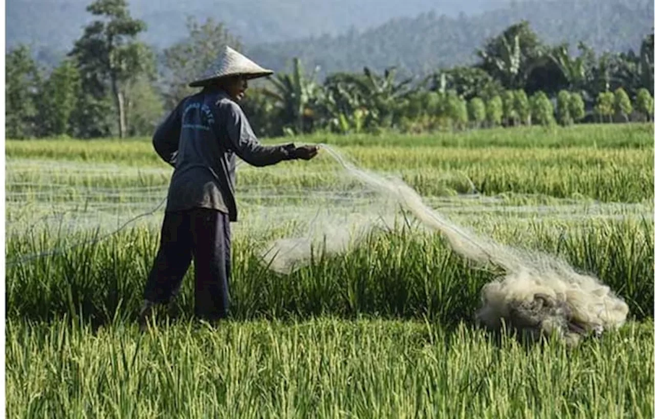 Hari Tani Nasional, Kelahiran UUPA dan Perubahan di Masa Orba