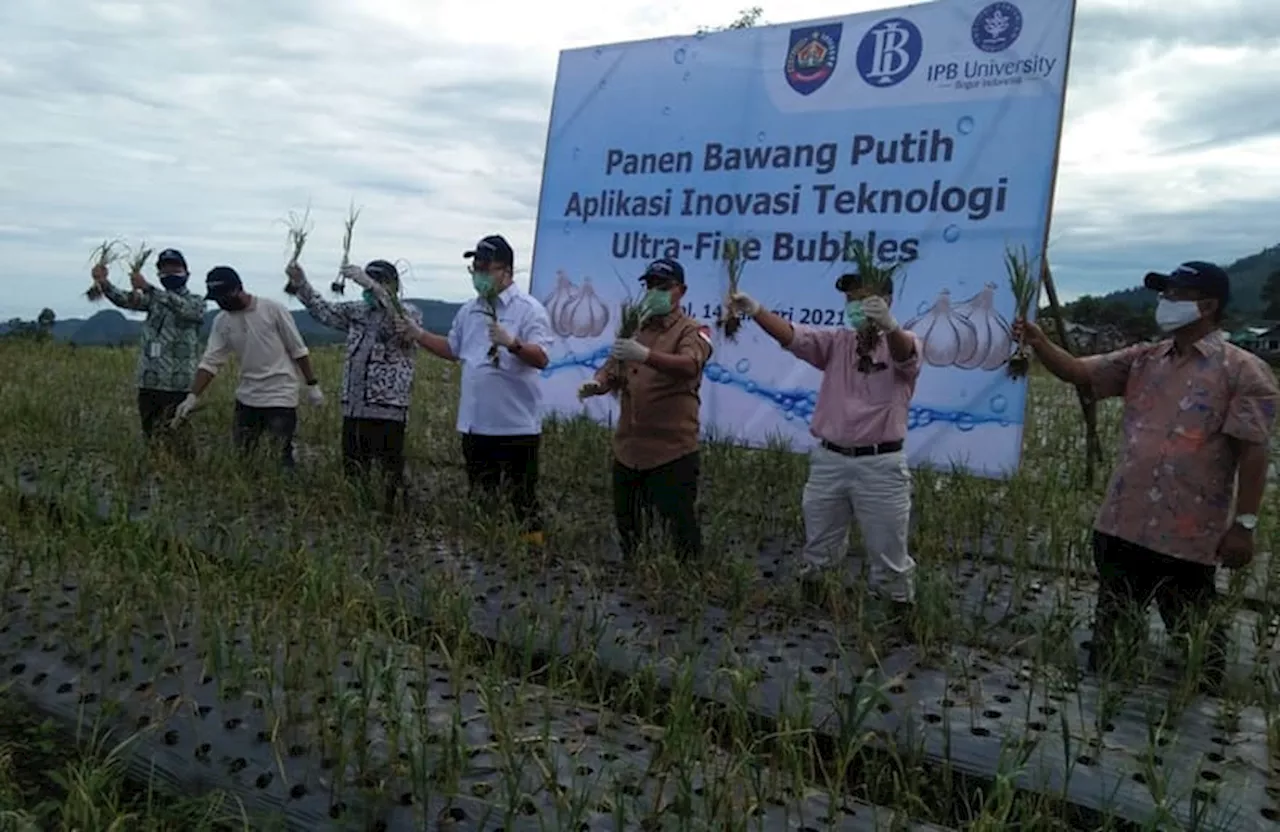 Hari Tani Nasional Saatnya Mengenal Lebih Dekat Teknik Pertanian dan Biosistem untuk Pertanian Berkelanjutan