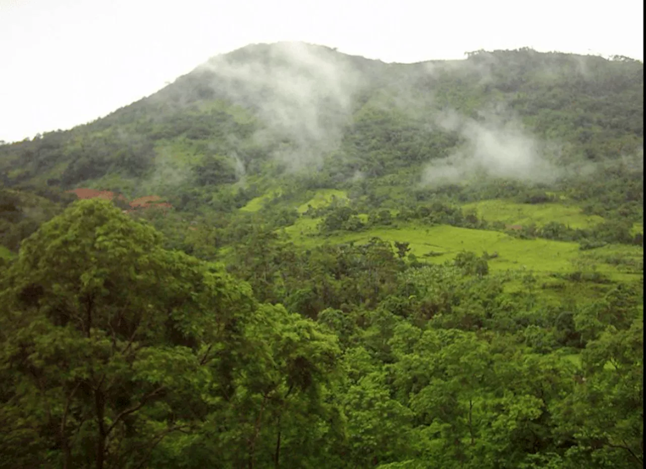 KLHK Dorong Percepatan Pegunungan Meratus Menjadi Taman Nasional