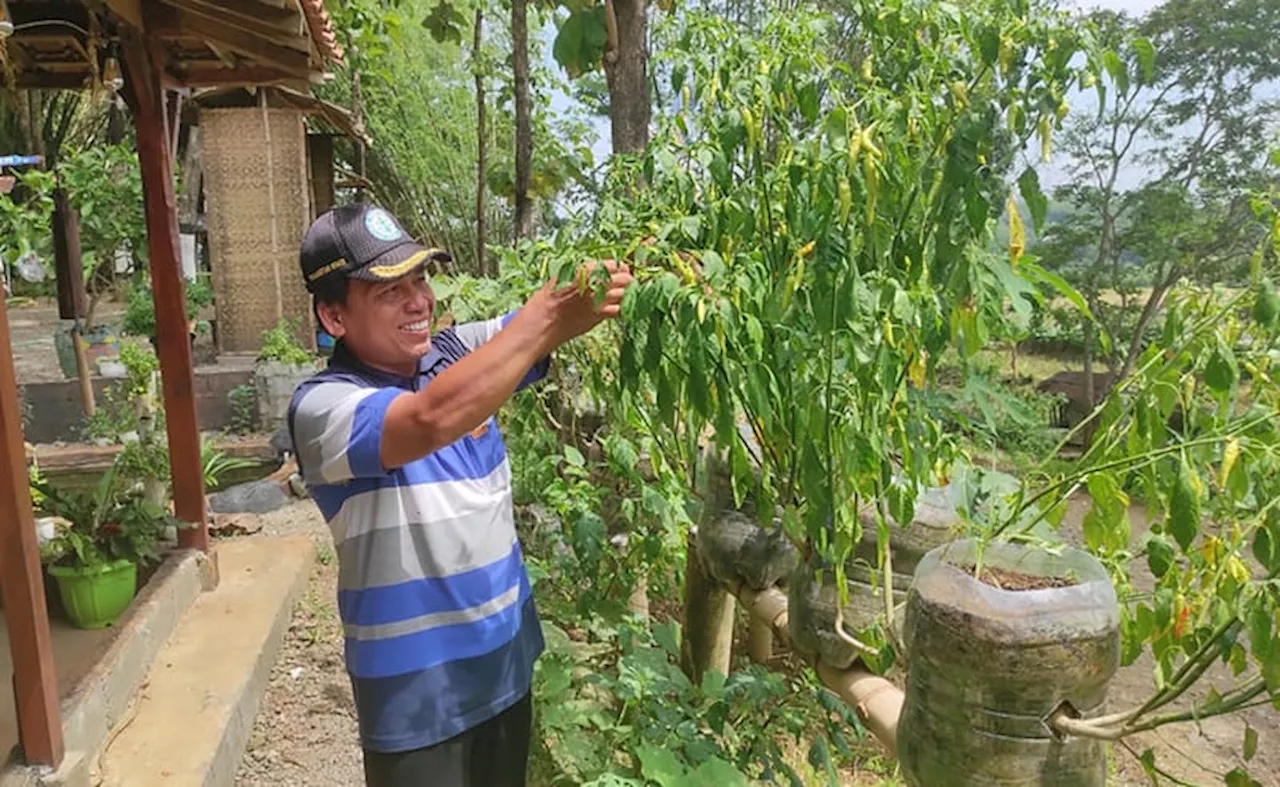 Pertanian Organik Prinsip, Manfaat, dan Potensi Besar bagi Ketahanan Pangan Indonesia