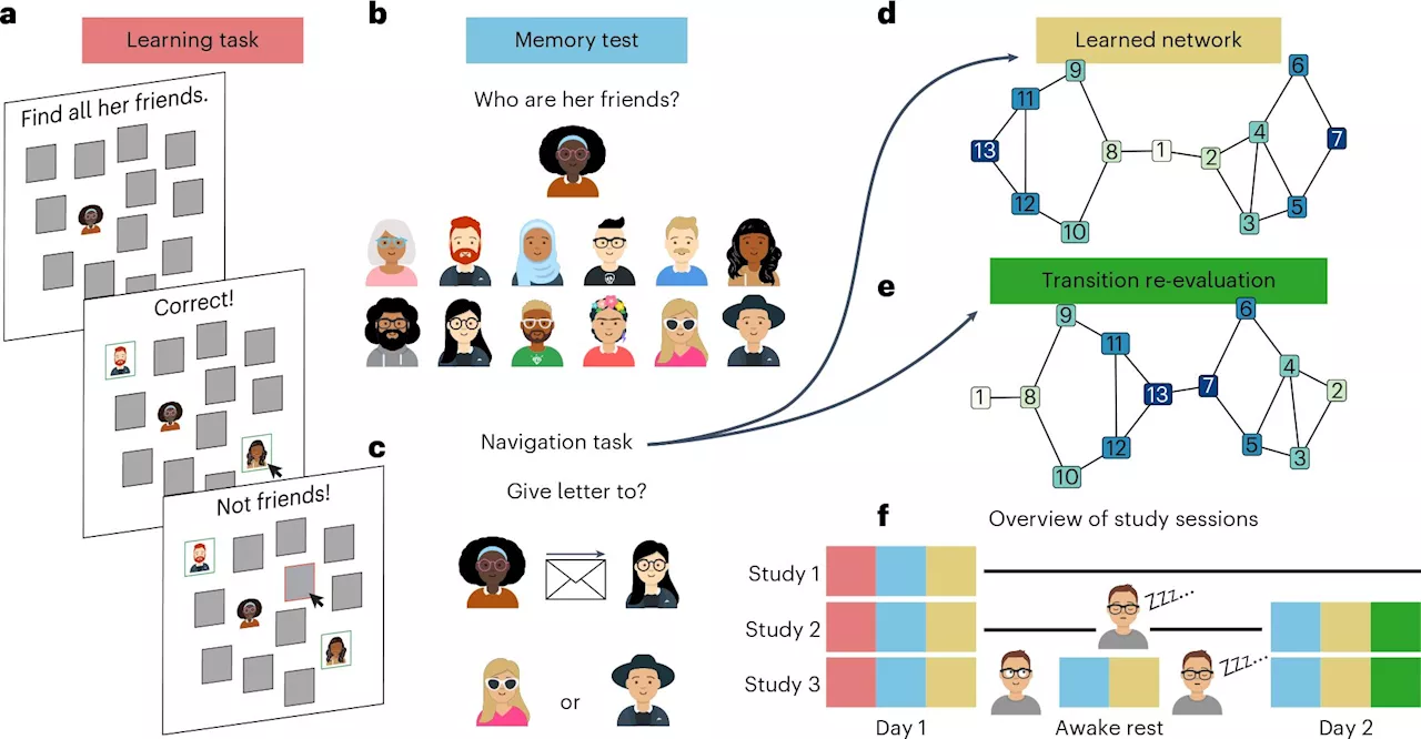 Cognitive Scientists Reveal Similarity Between Social And Spatial Navigation