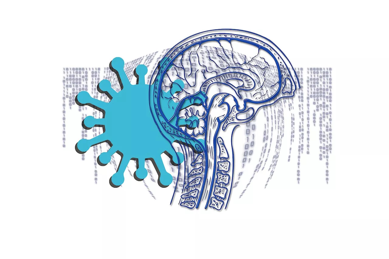 Large study offers latest insights into after effects of severe COVID-19 on the brain