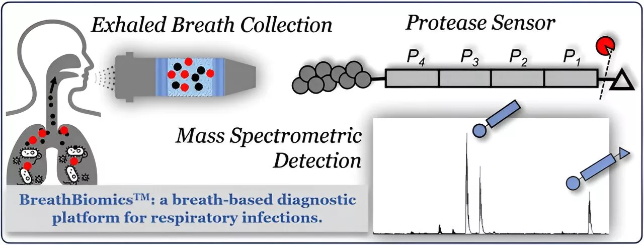 Proof-of-concept study shows breath analysis can diagnose respiratory infections