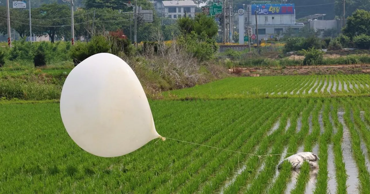 Kim Jong-un sends rubbish tied to balloons into South Korea