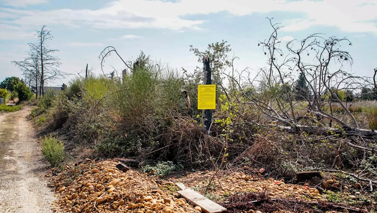 Virbac, Magna Porta, Nîmes Sud : Nîmes Métropole prépare le terrain pour le développement économique