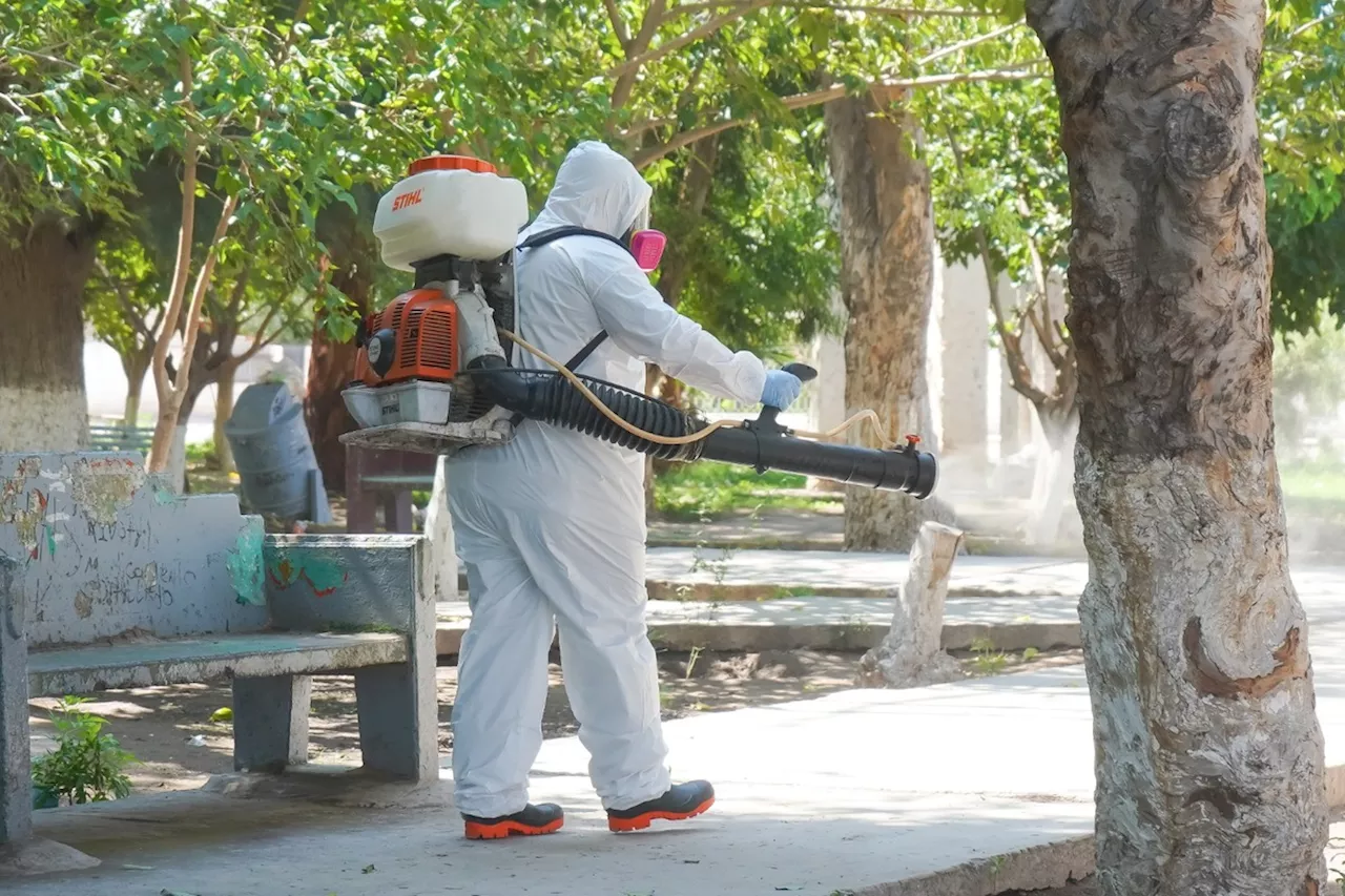 Coahuila refuerza acciones contra el dengue en La Laguna; incrementan acciones de fumigación