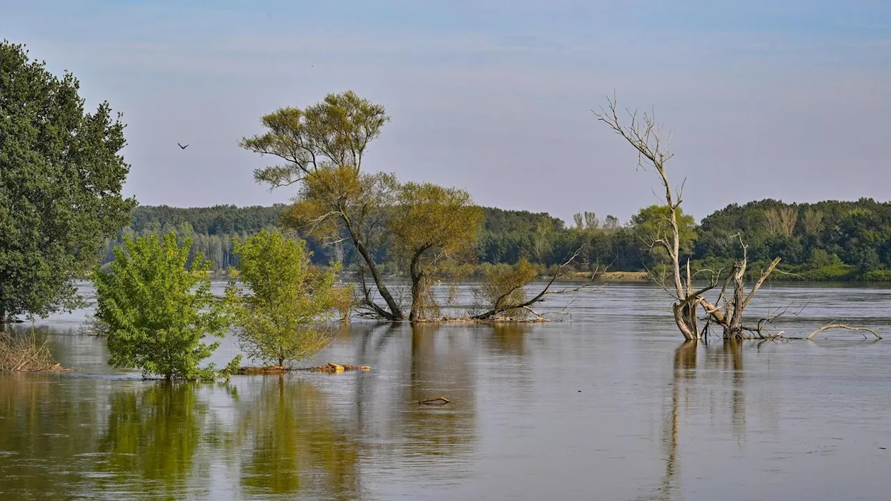 Hochwasser an der Oder: Landkreis ruft höchste Alarmstufe aus