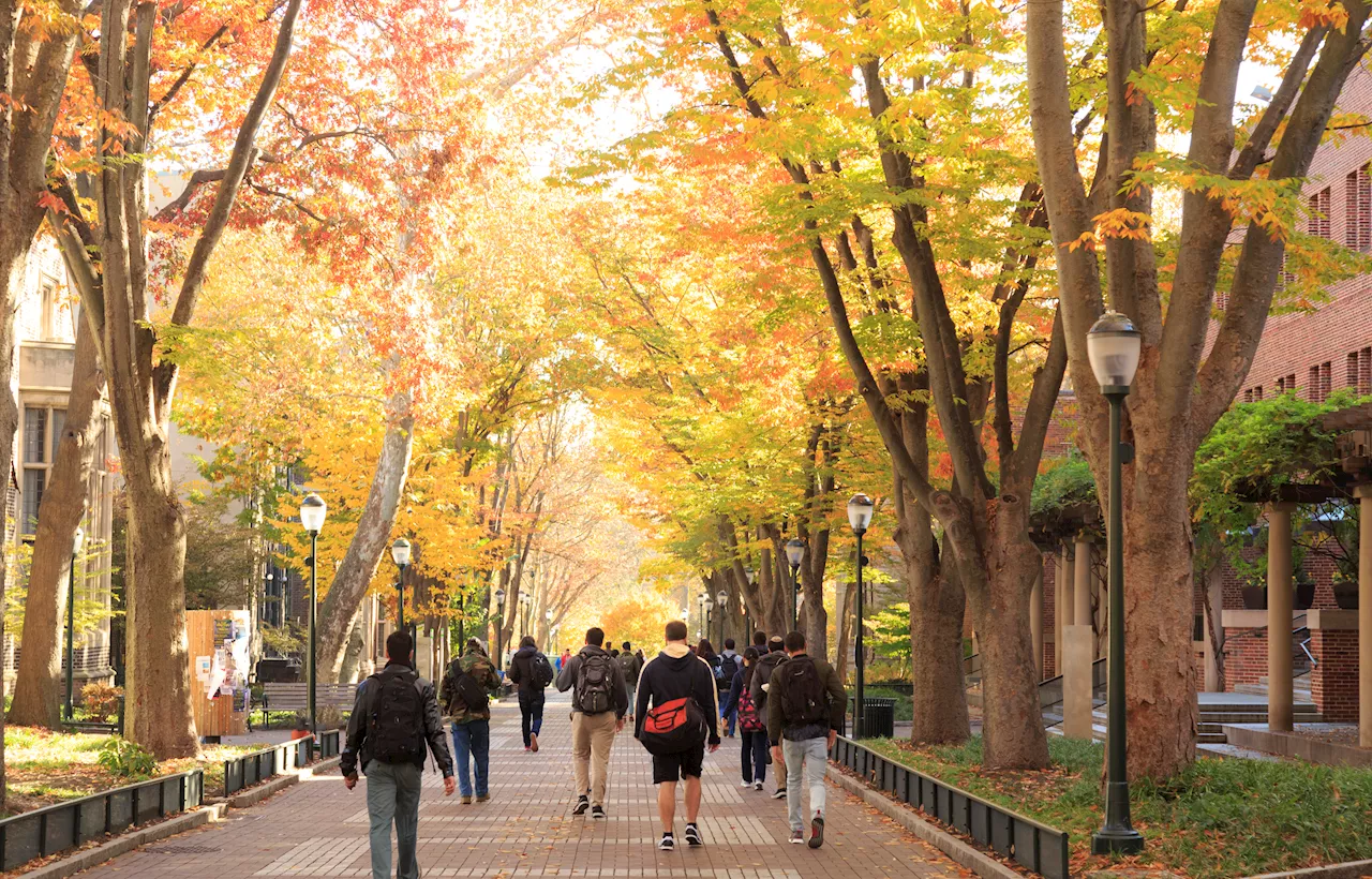 2 Illinois schools land in top 25 ‘Best Colleges' for 2025, with 1 making top 10