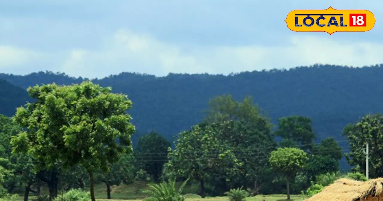 रांची का चमचमाता गांव, ग्रामीण टीम बनाकर रोज करते हैं काम, इनके हुनर से सरकार भी हैरान