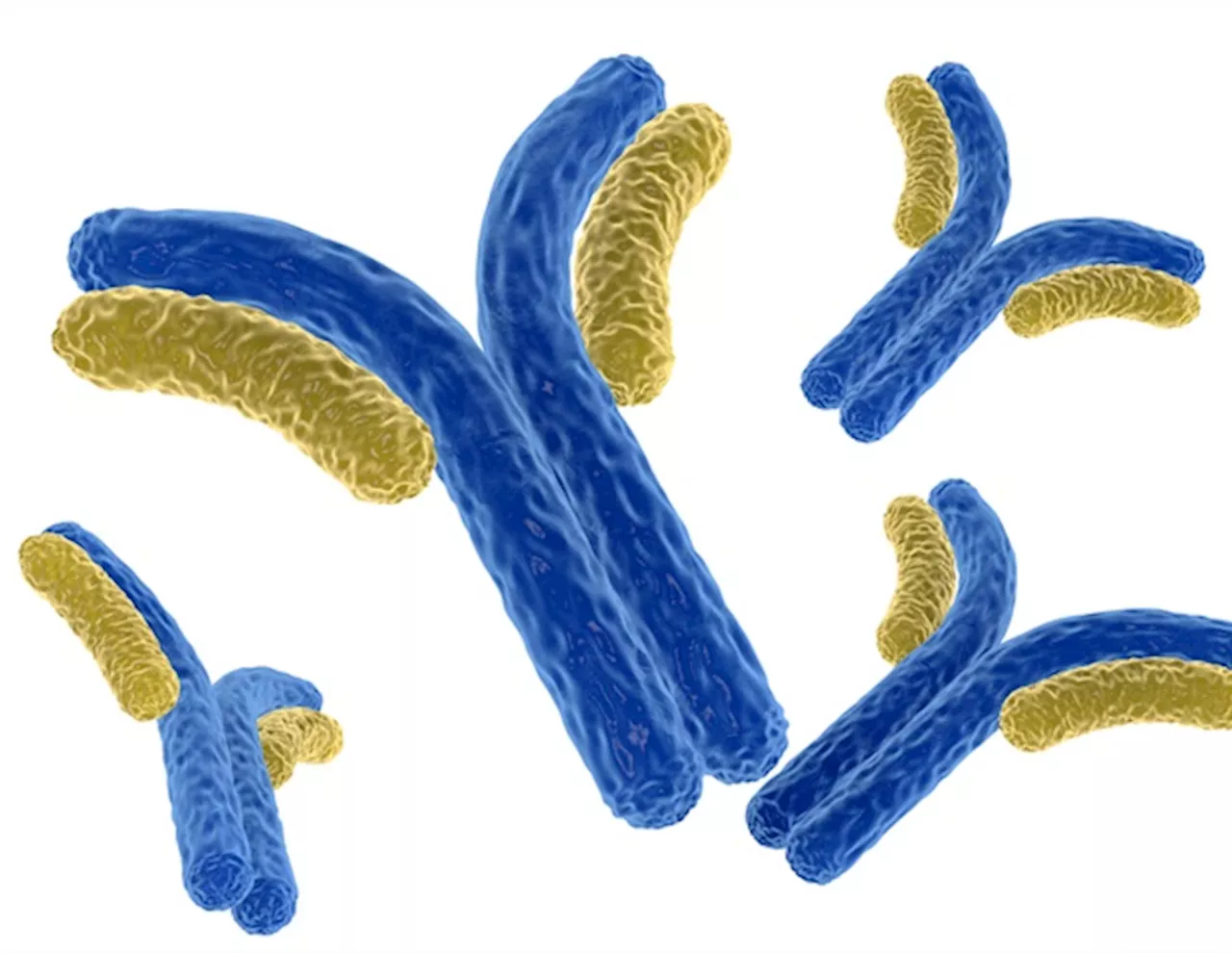 Johnson & Johnson seeks first approval of nipocalimab to treat broadest population living with antibody positive generalized myasthenia gravis