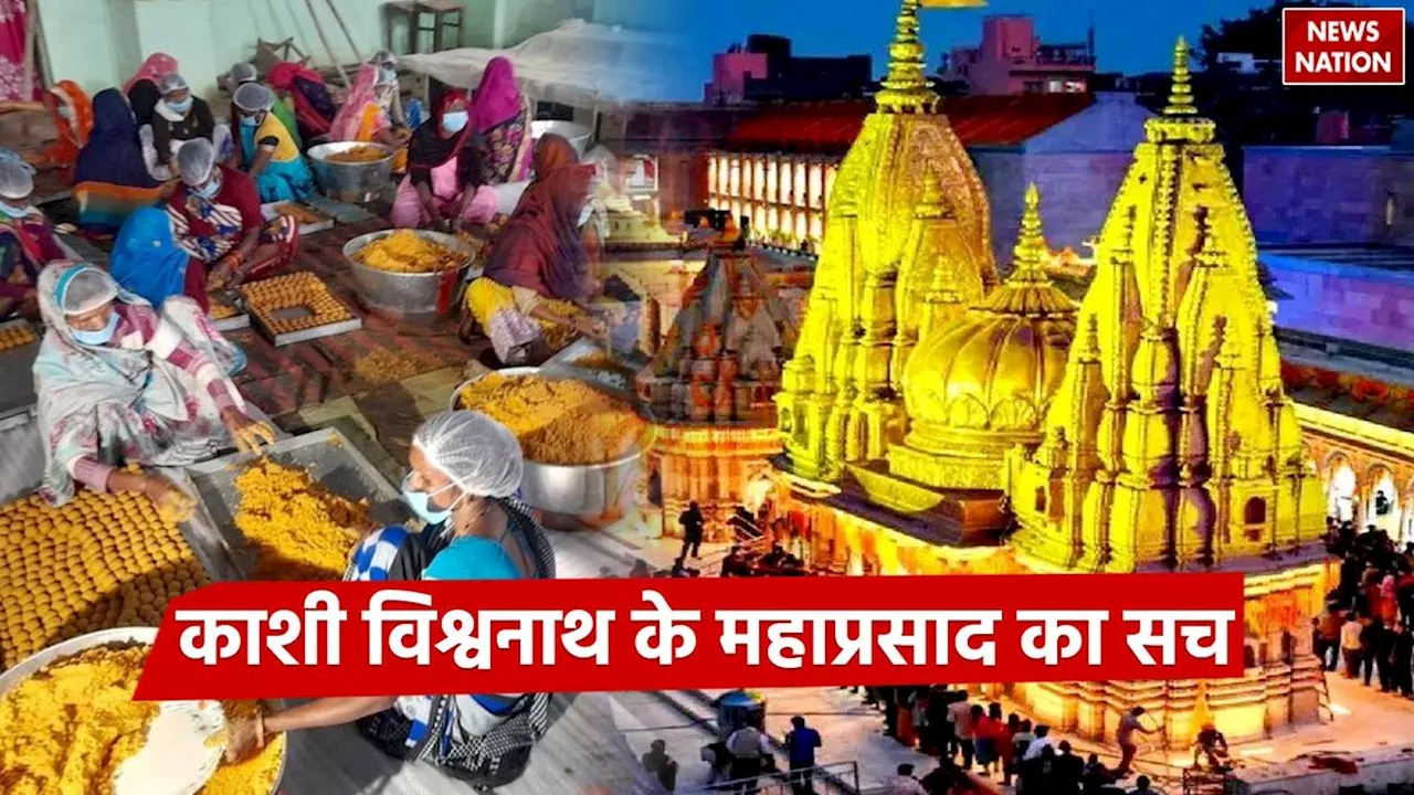 Kashi Vishwanath Dham Mahaprasad: मिलावट का सच: काशी विश्वनाथ धाम में कैसे बनता है शुद्ध महाप्रसाद?