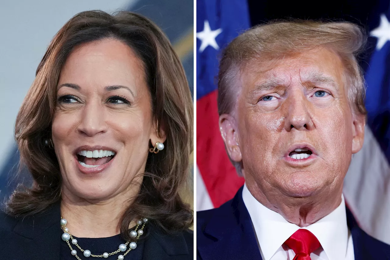 Kamala Harris, Donald Trump Gender Gap Turns Into Chasm Among Young Voters