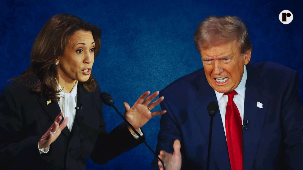 Trump or Harris: Who are bettors putting their money on in presidential race?