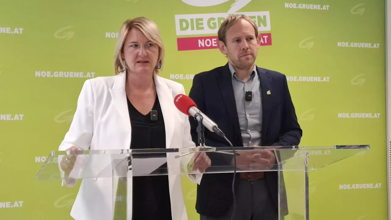 Nach Hochwasser: Grüne fordern Mittel für psychologische Unterstützung