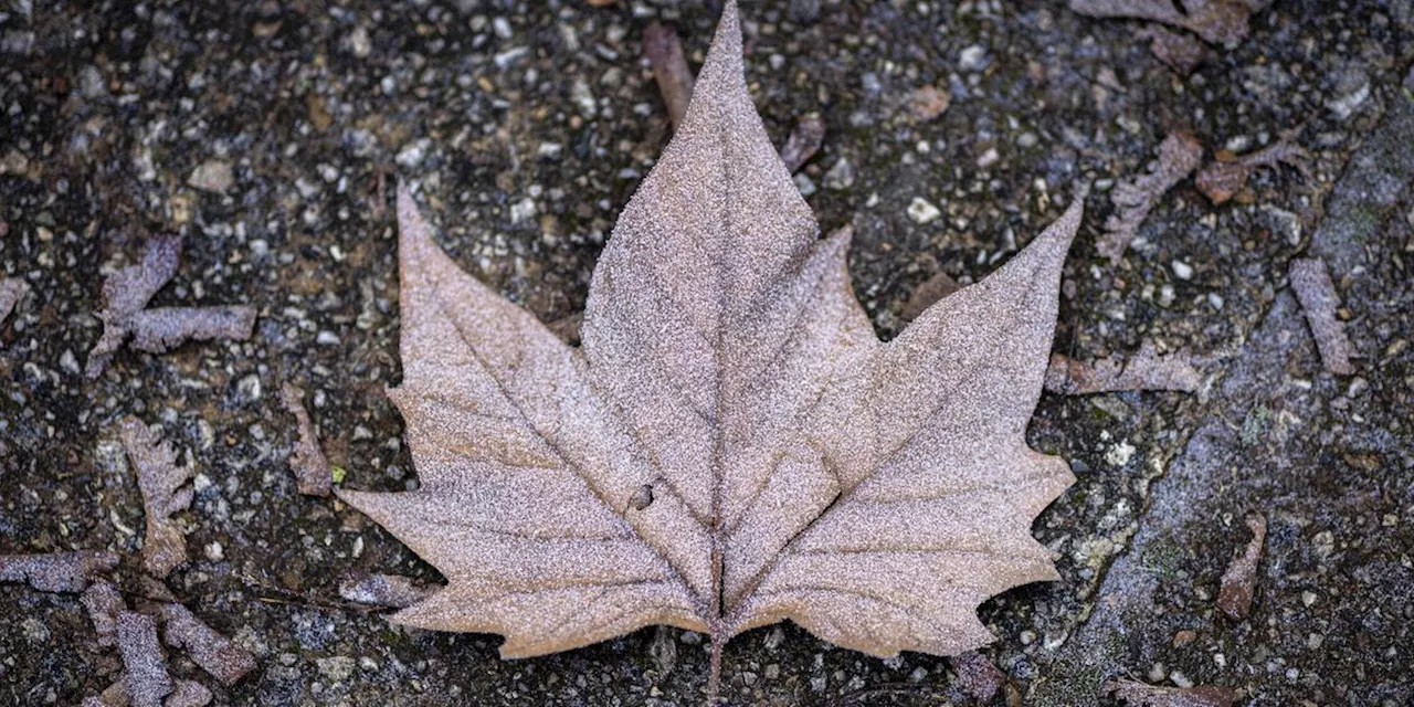 Jetzt ist der Sommer wirklich vorbei: Der Herbst zieht in Franken ein