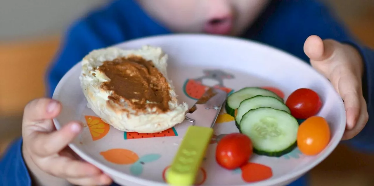 Vegetarisches Essen f&uuml;r Kinder - gesund oder riskant?