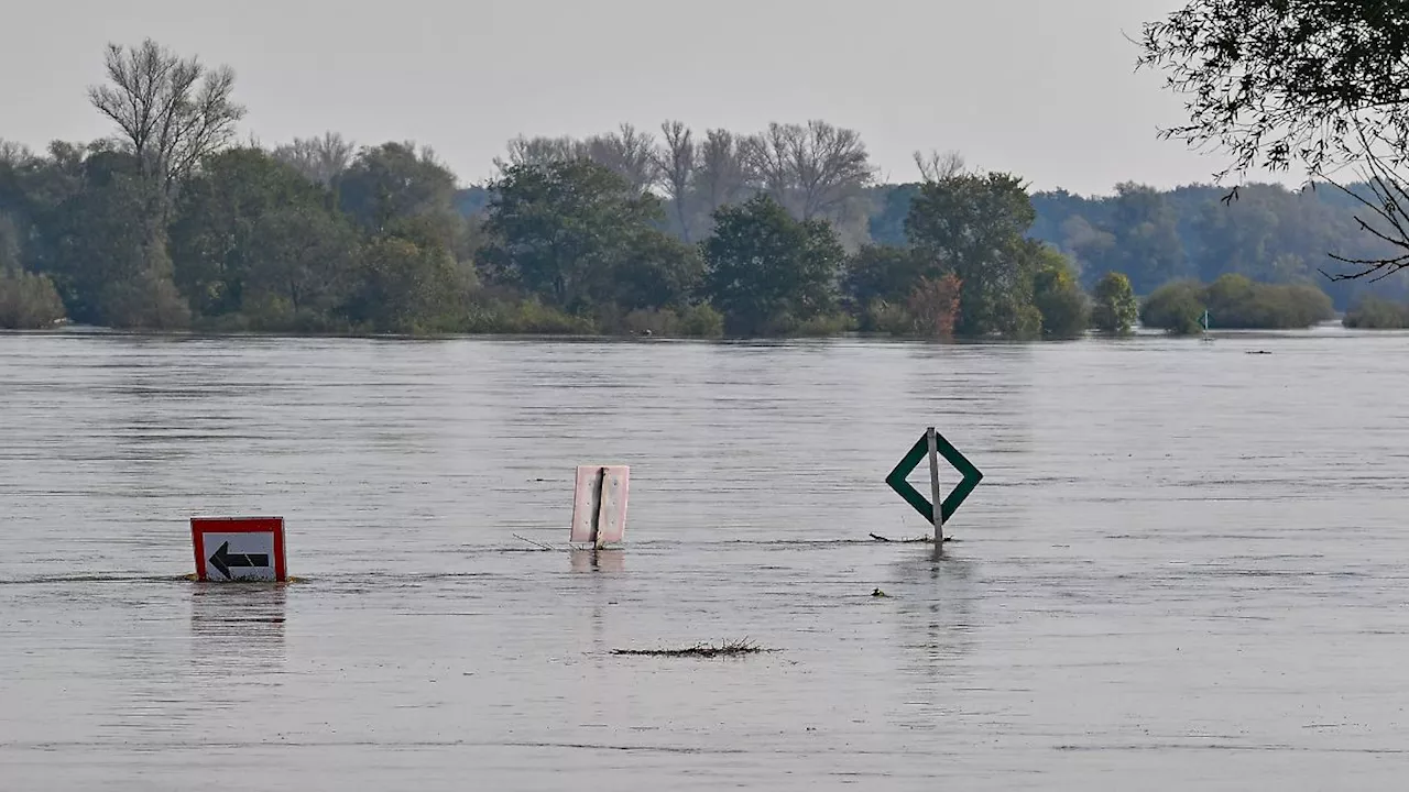 Berlin & Brandenburg: Erstmals höchste Hochwasser-Alarmstufe erreicht