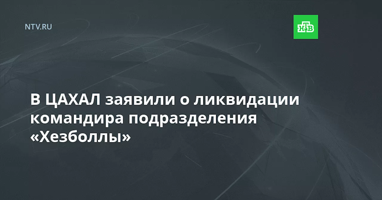 В ЦАХАЛ заявили о ликвидации командира подразделения «Хезболлы»