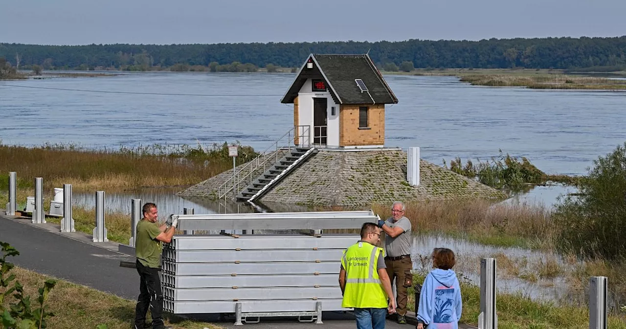 Oder-Hochwasser: Höchste Alarmstufe in Ratzdorf erwartet