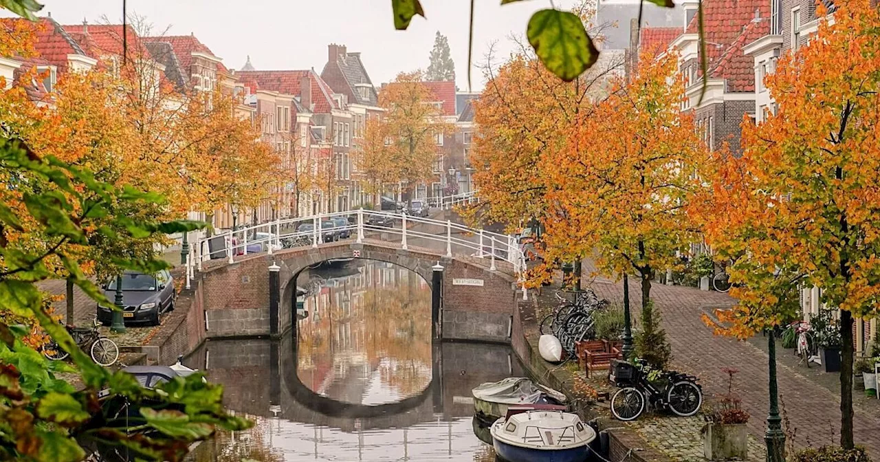 Wie die Tulpe nach Holland kam: zu Besuch in Leiden