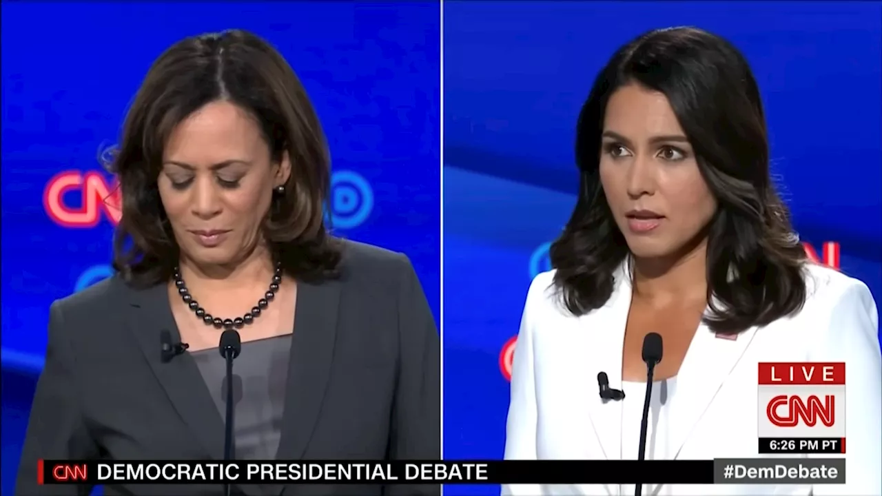 Tulsi Gabbard reveals the Trump campaign's Kamala strategy: 'Our challenge and our opportunity'