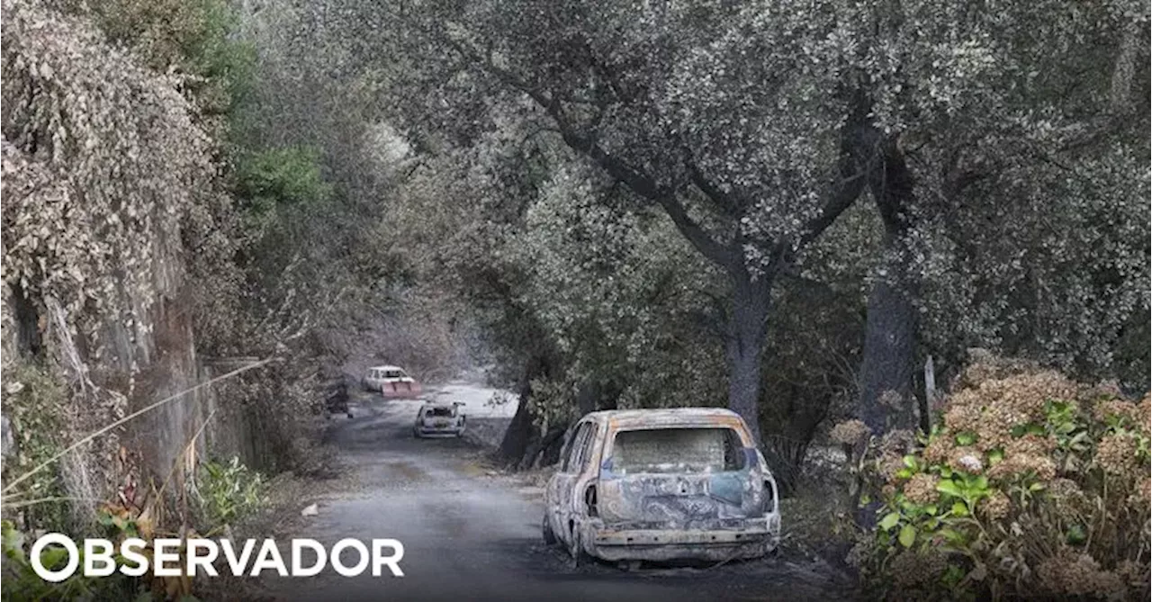 Governo admite relação de fogos com alterações climáticas