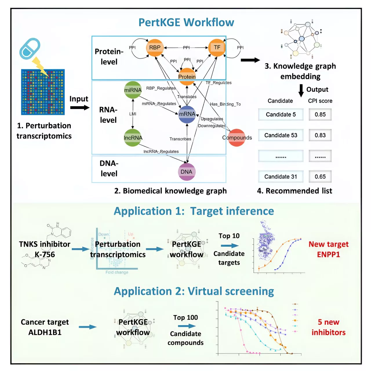 New AI tool efficiently deconvolutes compound-protein interactions