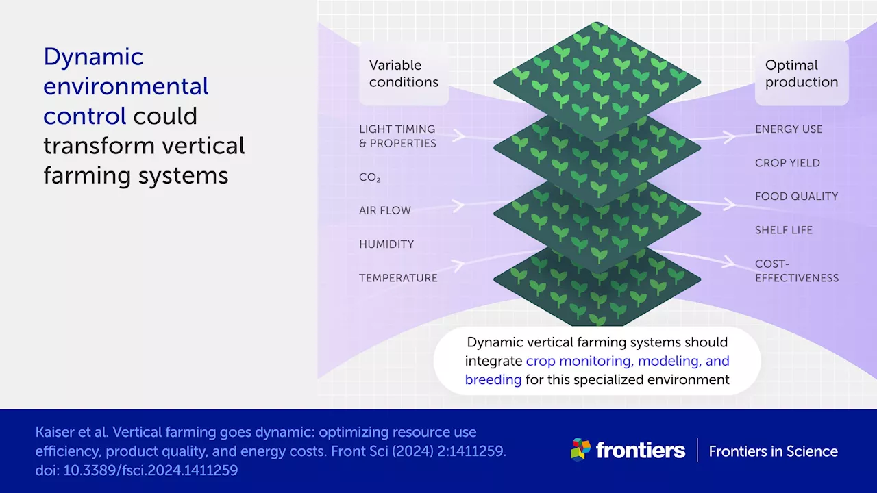 Scientists explore how indoor vertical farming could help future-proof food demand