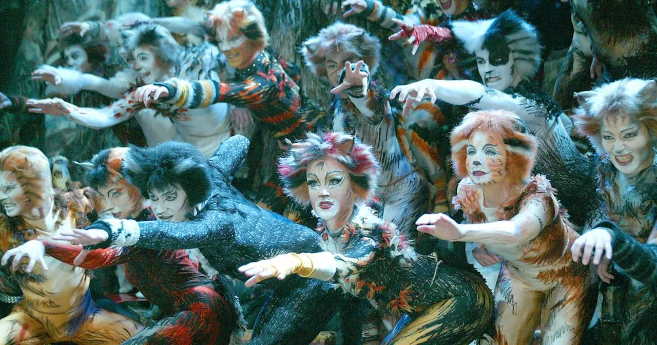 Auch in Düsseldorf: Musical „Cats“ kehrt 2025 nach Deutschland zurück