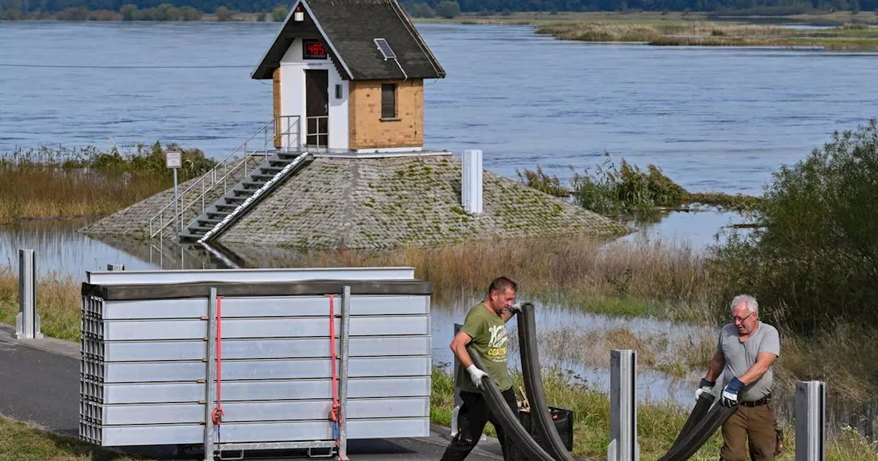 Hochwasser Ratzdorf in Brandenburg: Oder überflutet