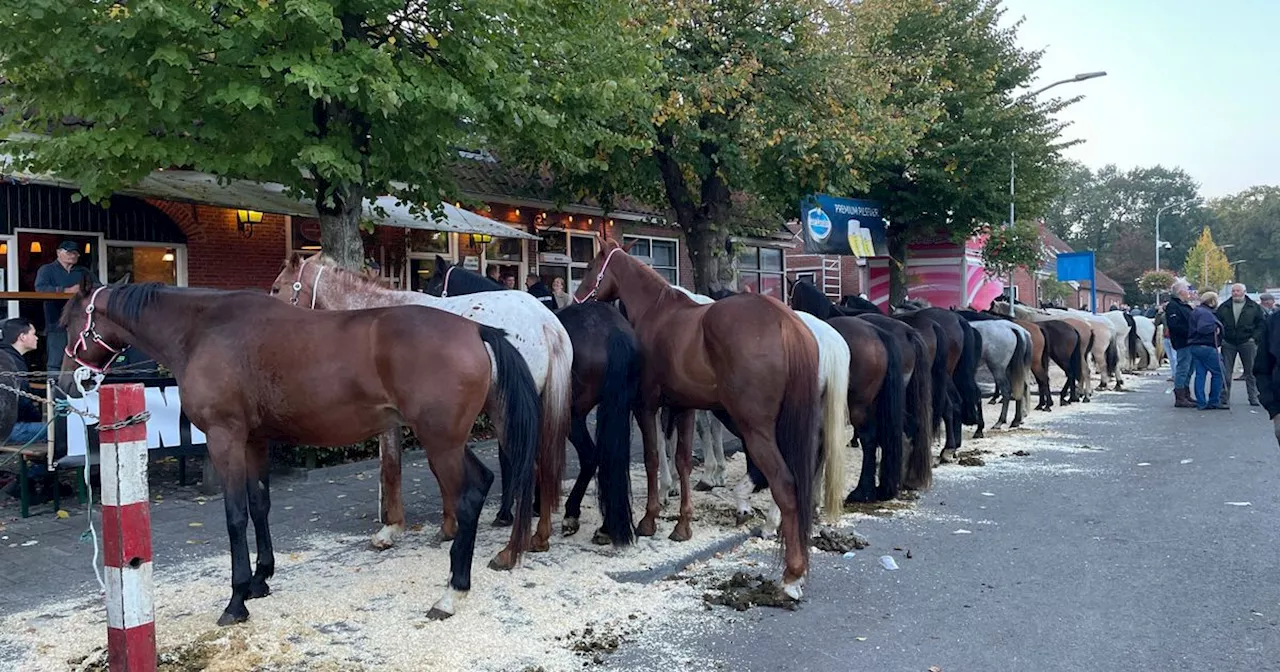 Rodermarkt houdt tradities in ere, maar wel met kleine aanpassingen na kritiek NVWA