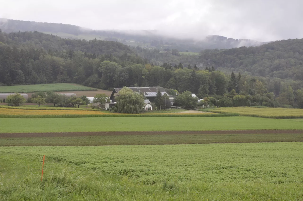 Parlament will Landwirte administrativ entlasten